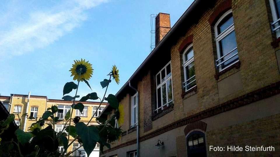 Klassmo Kulturcafe&Gaestehaus Mit Kulturwerkstatt Luckenwalde Ngoại thất bức ảnh
